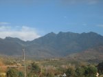 IMG_4903.jpg
