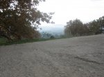 IMG_4910.jpg