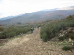 IMG_4932.jpg