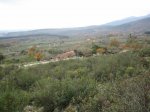 IMG_4934.jpg