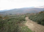 IMG_4935.jpg