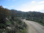 IMG_4938.jpg
