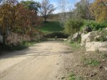 IMG_4942.jpg