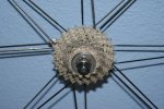 DSC02020.jpg