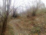 131220091989.jpg
