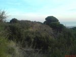 DSC00123a.JPG