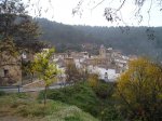 P1010020.jpg
