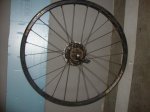 DSC01457.jpg