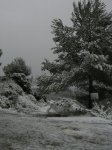 CIMG5872.jpg