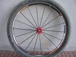 DSCN3078.jpg