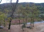 P1010028.jpg