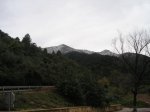 P1010029.jpg