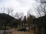 P1010030.jpg