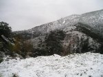 P1010033.jpg