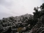 P1010034.jpg