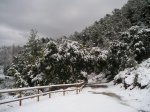 P1010035.jpg