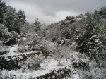 P1010037.jpg