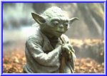 yoda.jpg