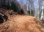 DSC03985.jpg