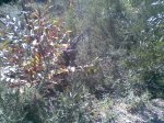 20091213_Foto0.jpg