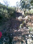 20091213_Foto5.jpg