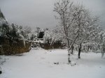 P1010044.jpg