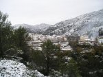 P1010054.jpg