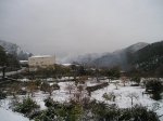 P1010057.jpg