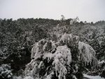 P1010066.jpg