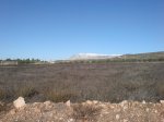 DSC01579.jpg