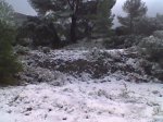 Imagen009.jpg