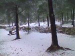 Imagen011.jpg