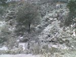 Imagen013.jpg