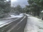 Imagen017.jpg