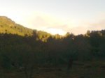 Imagen0050.jpg