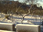 Imagen0055.jpg