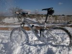 100_4545.jpg