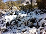 P1204_15-12-09.jpg