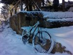 P1300_15-12-09.jpg