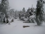 diciembre 2009 052 [800x600].jpg