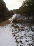 P15-12-09_11.28.jpg