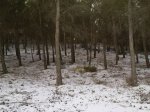 P15-12-09_11.32.JPG