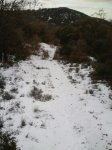 P15-12-09_12.30[01].jpg