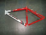 BSM 2 (111).jpg