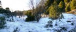 Copia de nieve 2.JPG