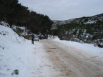 DSC00859.jpg