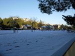 Foto0173.jpg