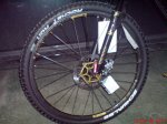 DSC01442.jpg