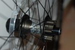 DSC_0067.jpg