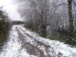 nieve 022.jpg